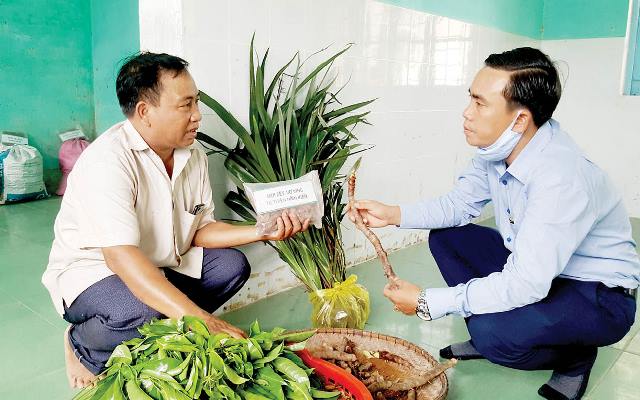 Khởi nghiệp với cây dược liệu bản địa