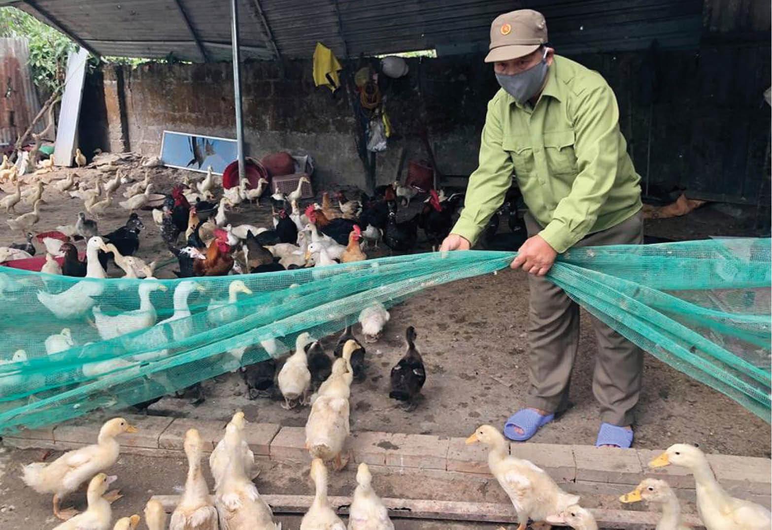 Vượt lên nỗi đau da cam