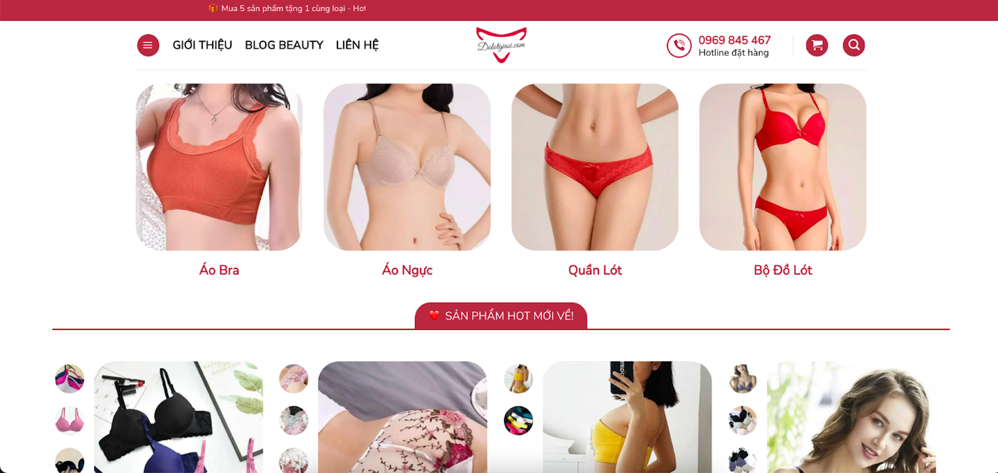 Cửa hàng Đồ lót giá sỉ - Chuyên phân phối đồ lót nữ uy tín tại TP HCM