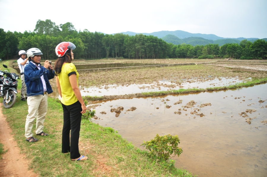Tăng lưu lượng điều tiết các hồ chứa phục vụ chống hạn