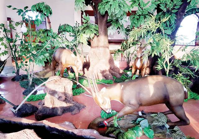 Preserving Saola s Footprints