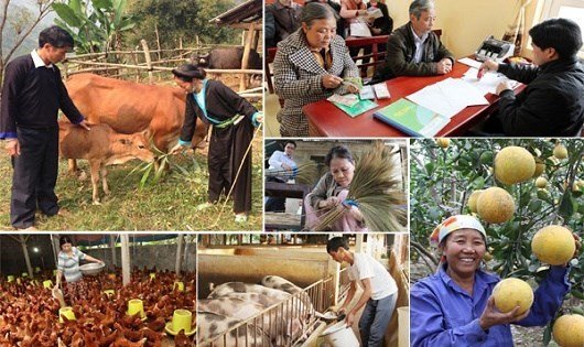 Phấn đấu giai đoạn 2021-2025, tỉ lệ hộ nghèo giảm 1-1,5 năm