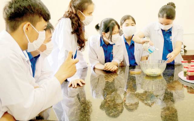 Gắn kết đầu vào tuyển sinh và đầu ra việc làm