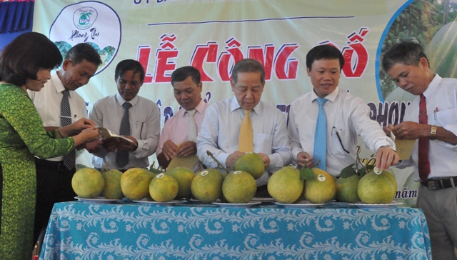 Nghiên cứu phát triển chỉ dẫn địa lý cho thanh trà Huế