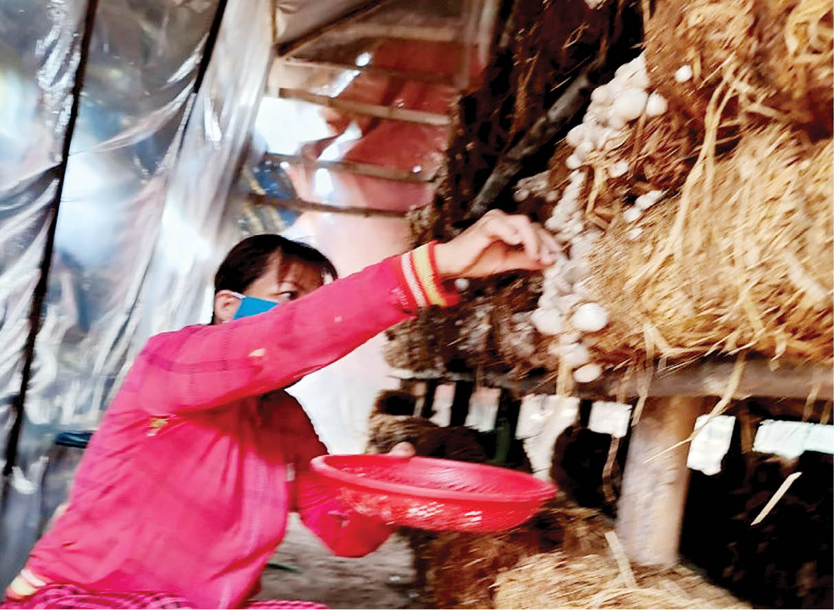 Thiết thực từ những công trình