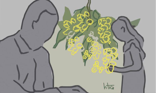 Vấn vương hương bò bò