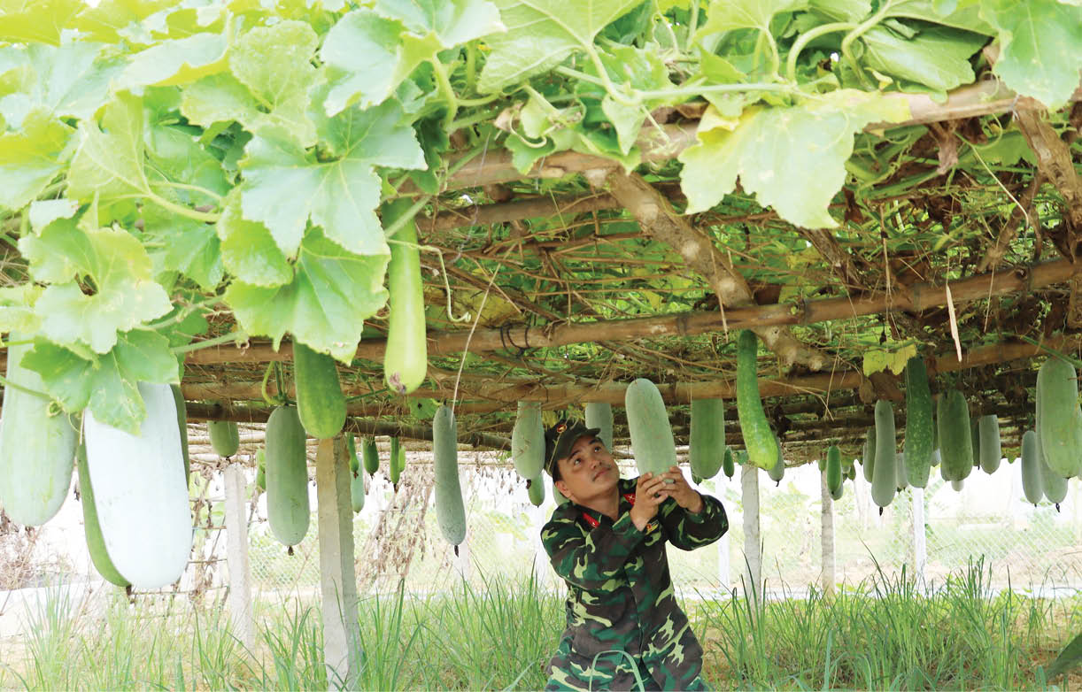Nâng cao đời sống cho bộ đội