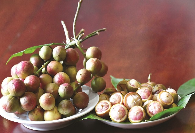 The season of mulberry in Kim Long