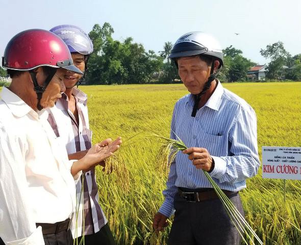 Catching the trend, orientating to a smart agriculture