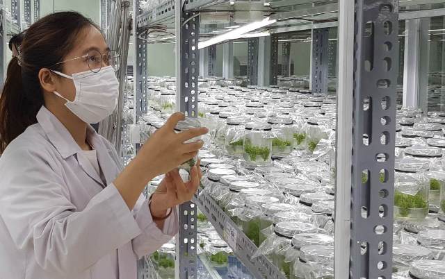 Đưa khoa học, công nghệ về làng