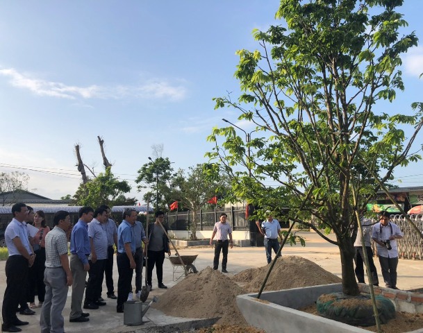 Building, managing and developing geographical indications “Hue” for Hoang Mai Yellow apricot blossom products