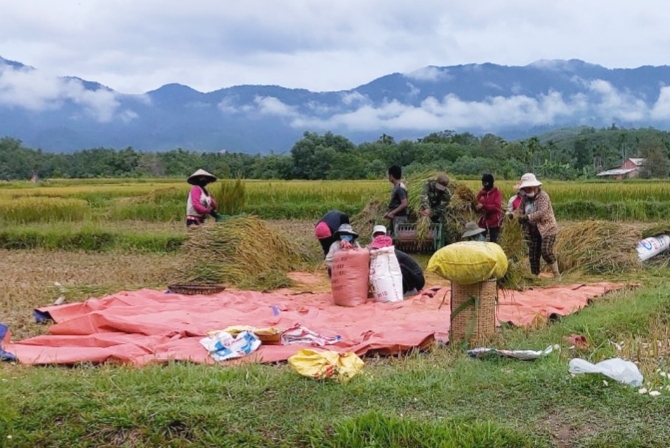Nghĩa tình vùng cao