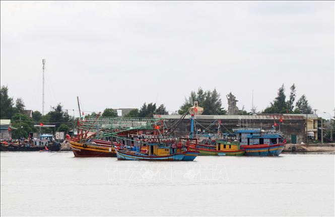 Bão số 5 Kêu gọi, hướng dẫn các phương tiện, tàu, thuyền vào nơi tránh trú an toàn