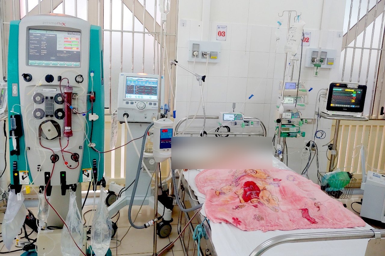 Cứu sống bé 5 tuổi nguy kịch tính mạng vì bị ong đốt