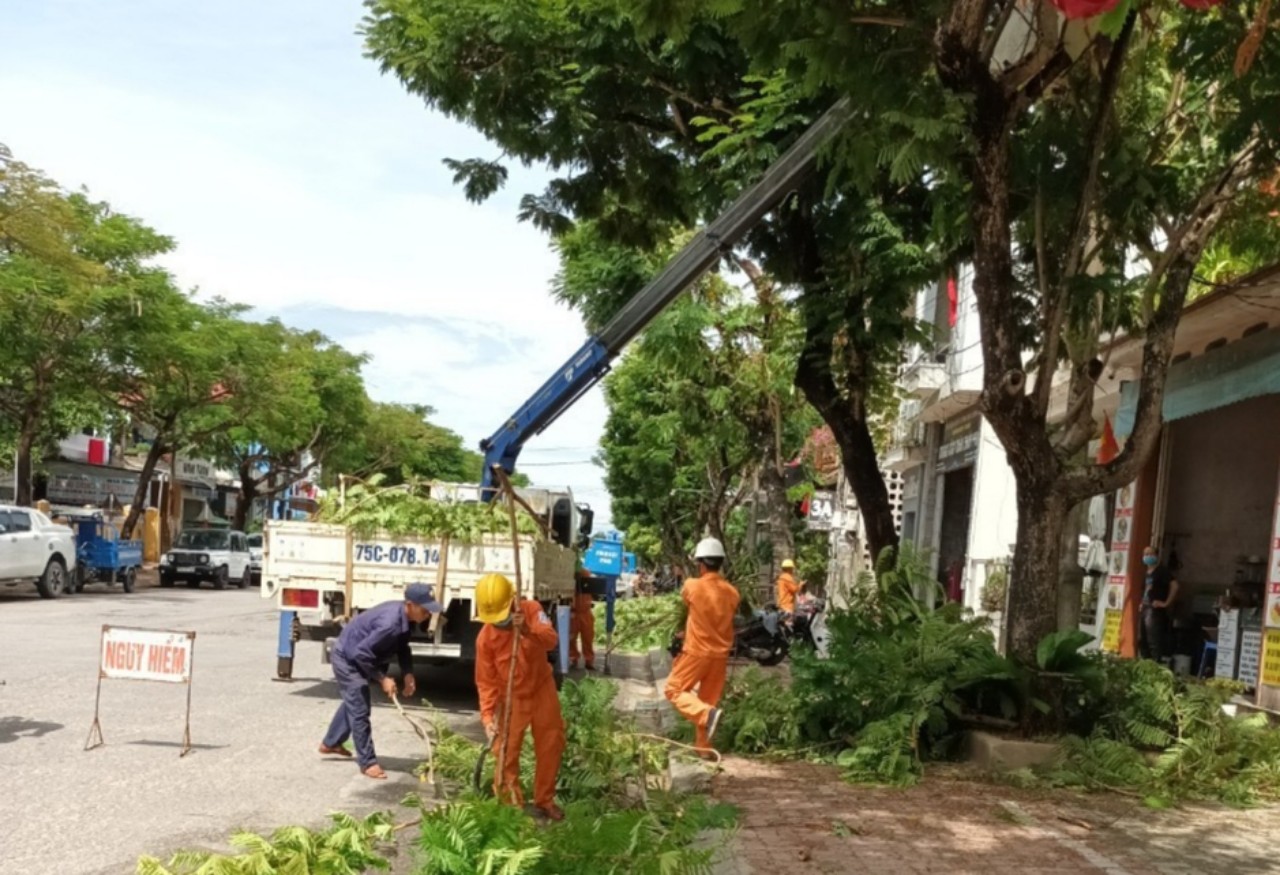 Phát quang, chặt tỉa, giảm tán cây ảnh hưởng đến lưới điện