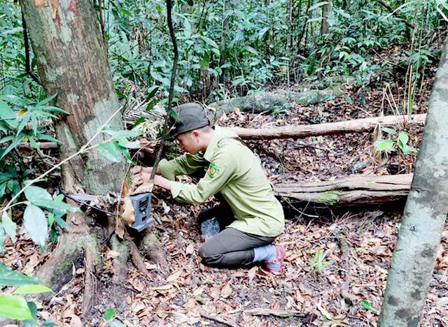 An toàn cho động vật hoang dã