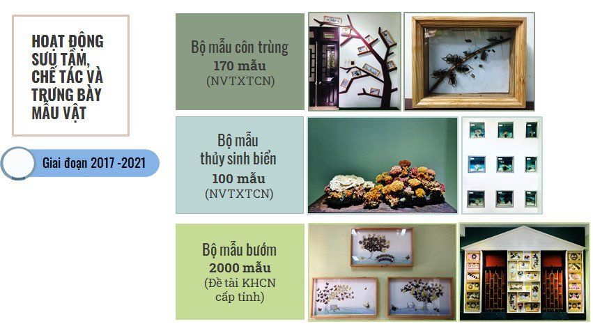 Xây dựng Bảo tàng Thiên nhiên duyên hải miền Trung xứng tầm là bảo tàng thiên nhiên cấp khu vực