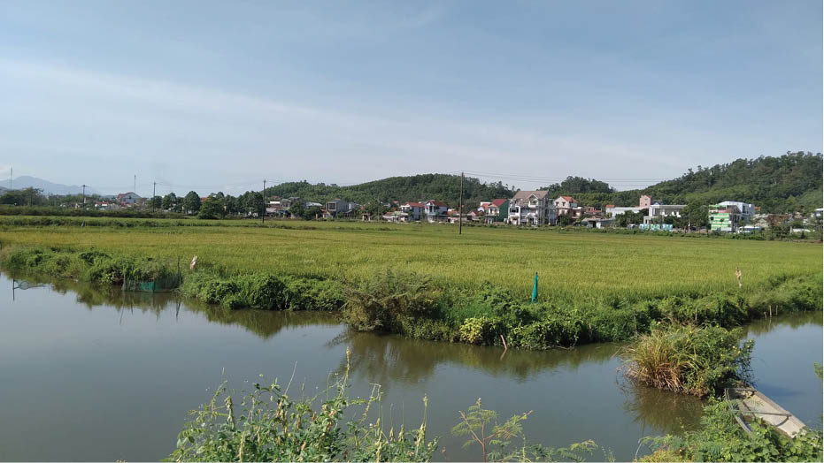 Lên độn mà chơi