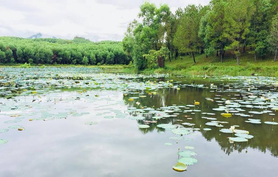 Restoration project of the tomb relic of Emperor Gia Long appraised