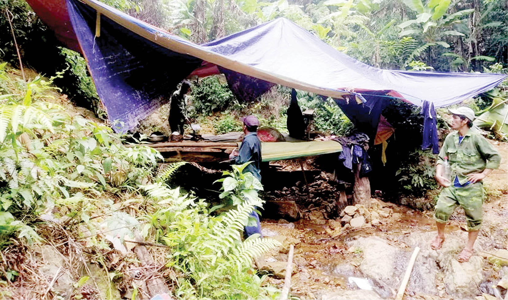 Nguy cơ mất an toàn khi vào rừng mùa bão, lũ