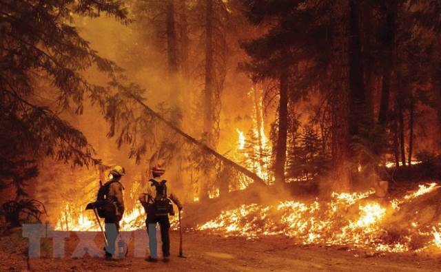 Đã đến lúc lưu ý cảnh báo về một thế giới đang bị tổn thương