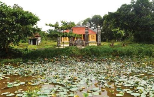 Bất ngờ với Đông Lâm