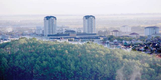 Giữ rừng cho phố