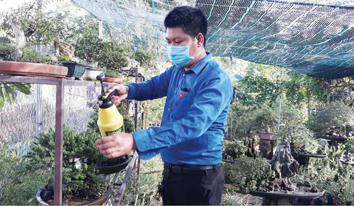 Vườn hoa cảnh của Quý