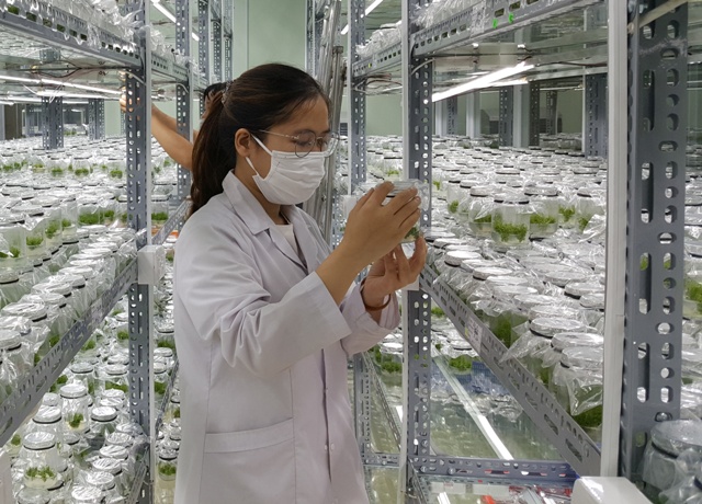 Nhiều nhiệm vụ khoa học trọng tâm được triển khai trong năm 2021