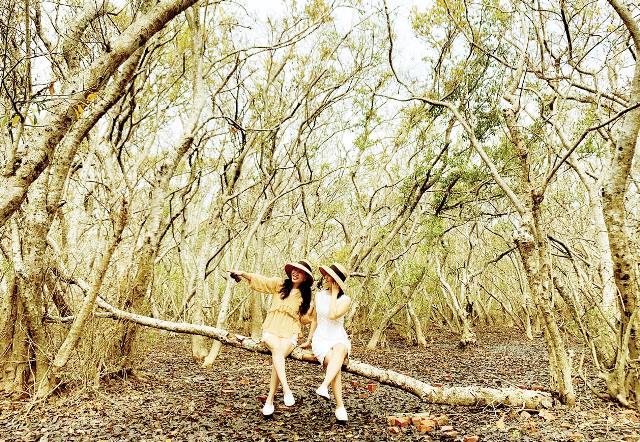 Phát triển du lịch vùng đầm phá ven biển