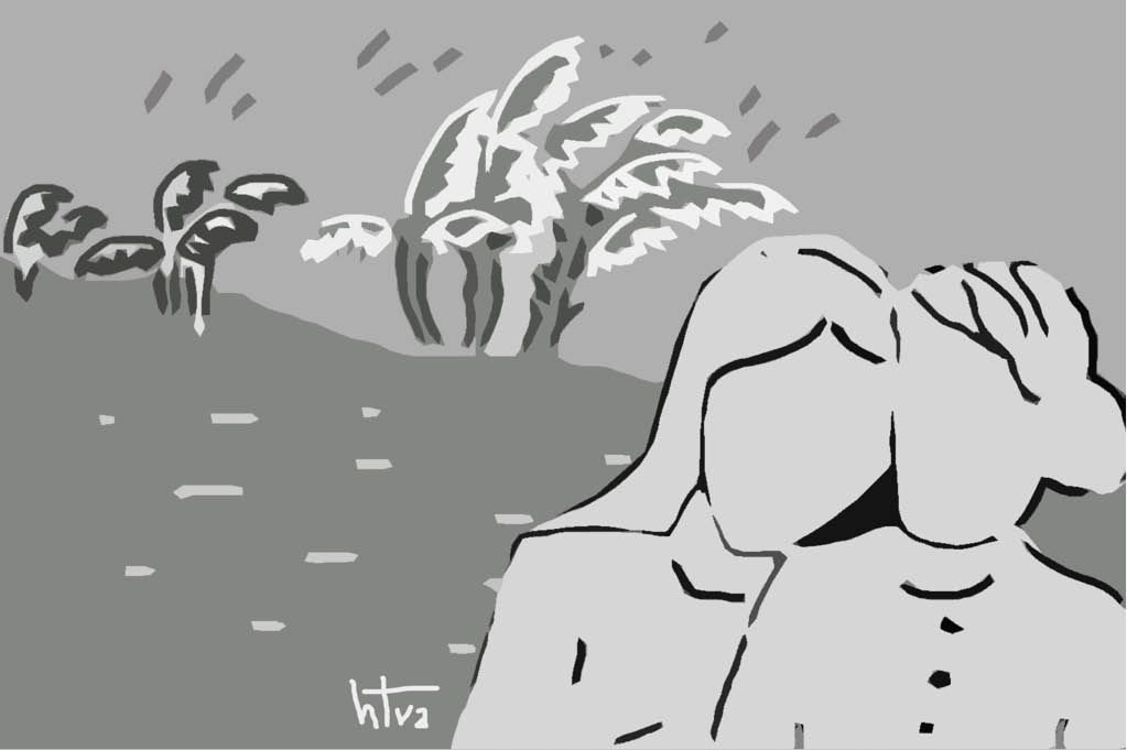 Bão