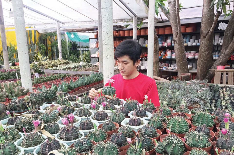 The boy with a passion for cactus