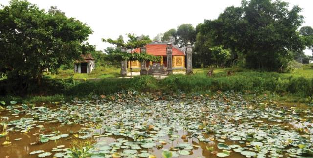 Surprised by Dong Lam