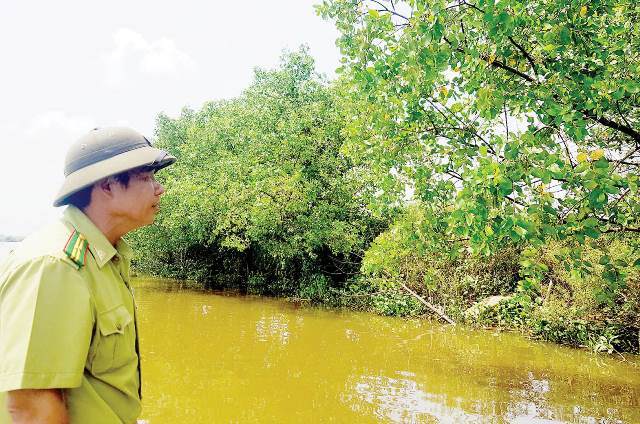 Giữ tràm chim mùa nước nổi