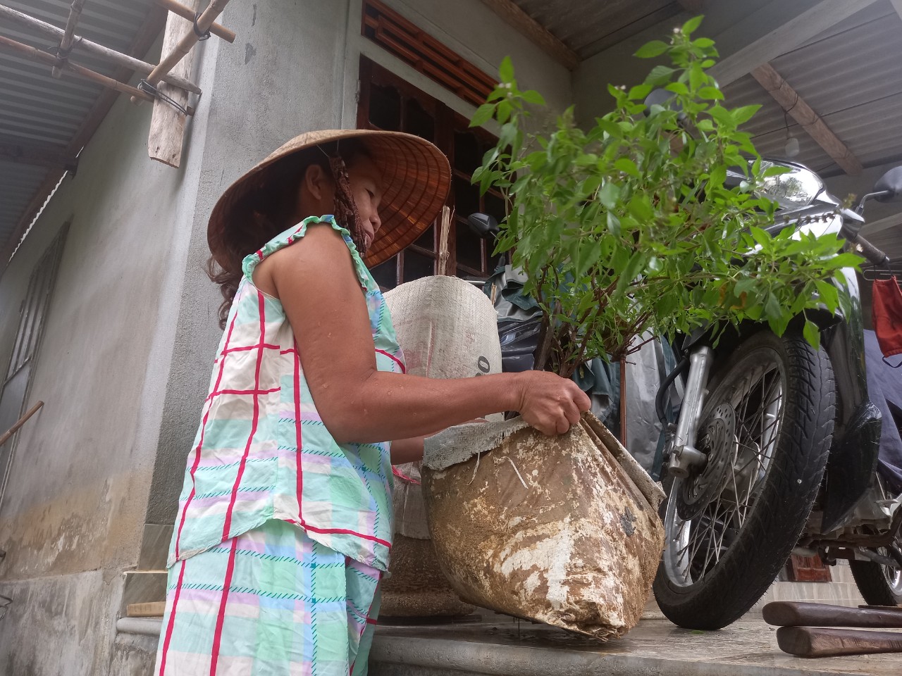 Mưa lũ liên tiếp, người dân hạ lưu sông Bồ di chuyển bằng ghe thuyền