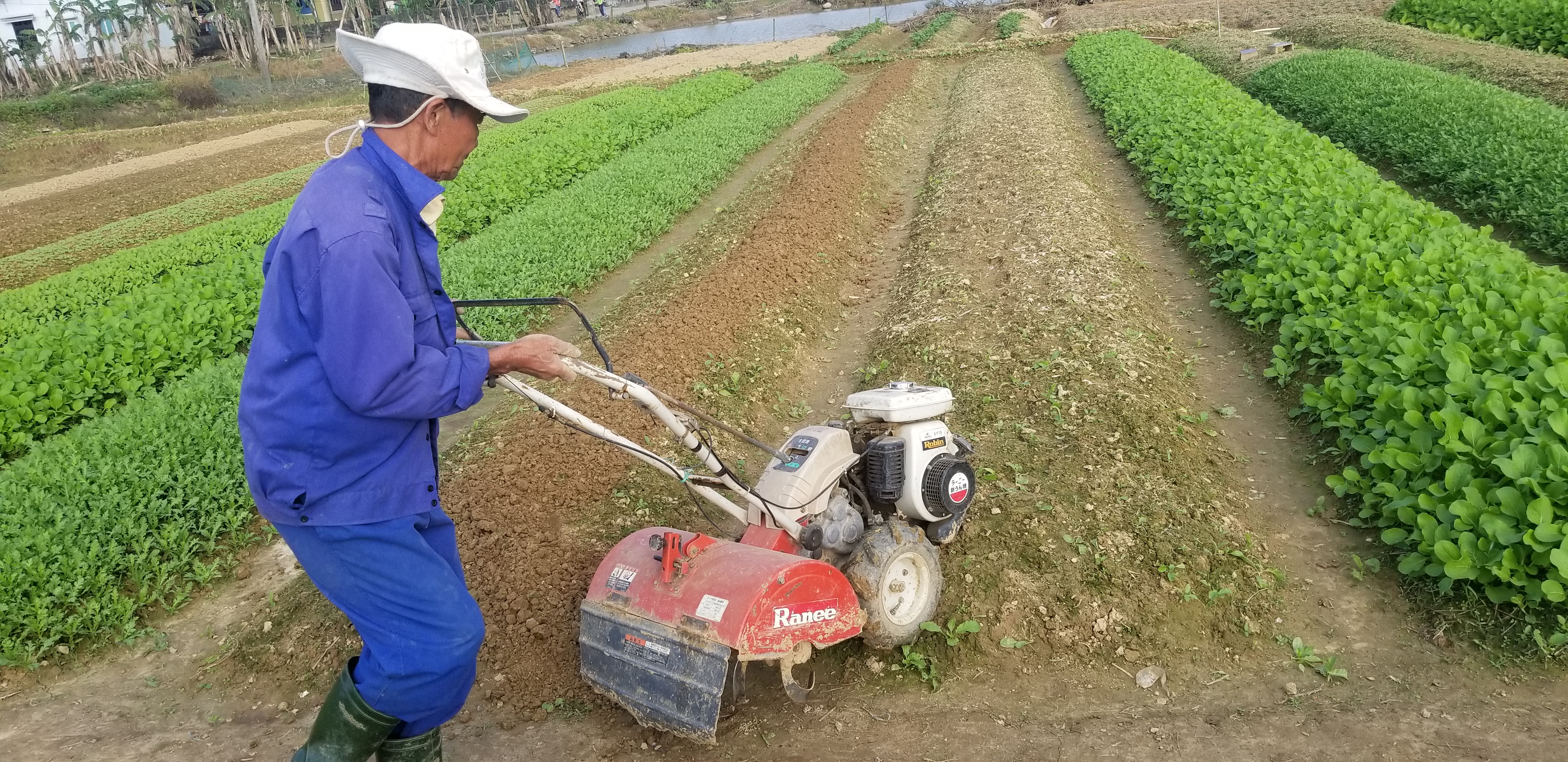 Hướng dẫn quy trình rà soát hộ nghèo, hộ cận nghèo và thu thập cung- cầu lao động