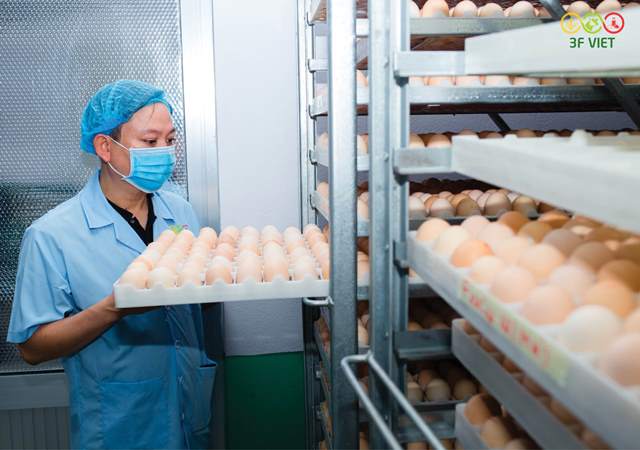 Thua Thien Hue Enterprises Making changes to develop