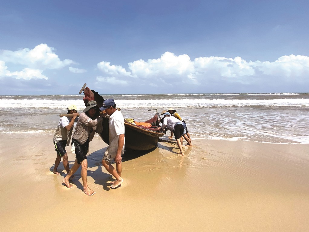 Gift from the sea in windy season