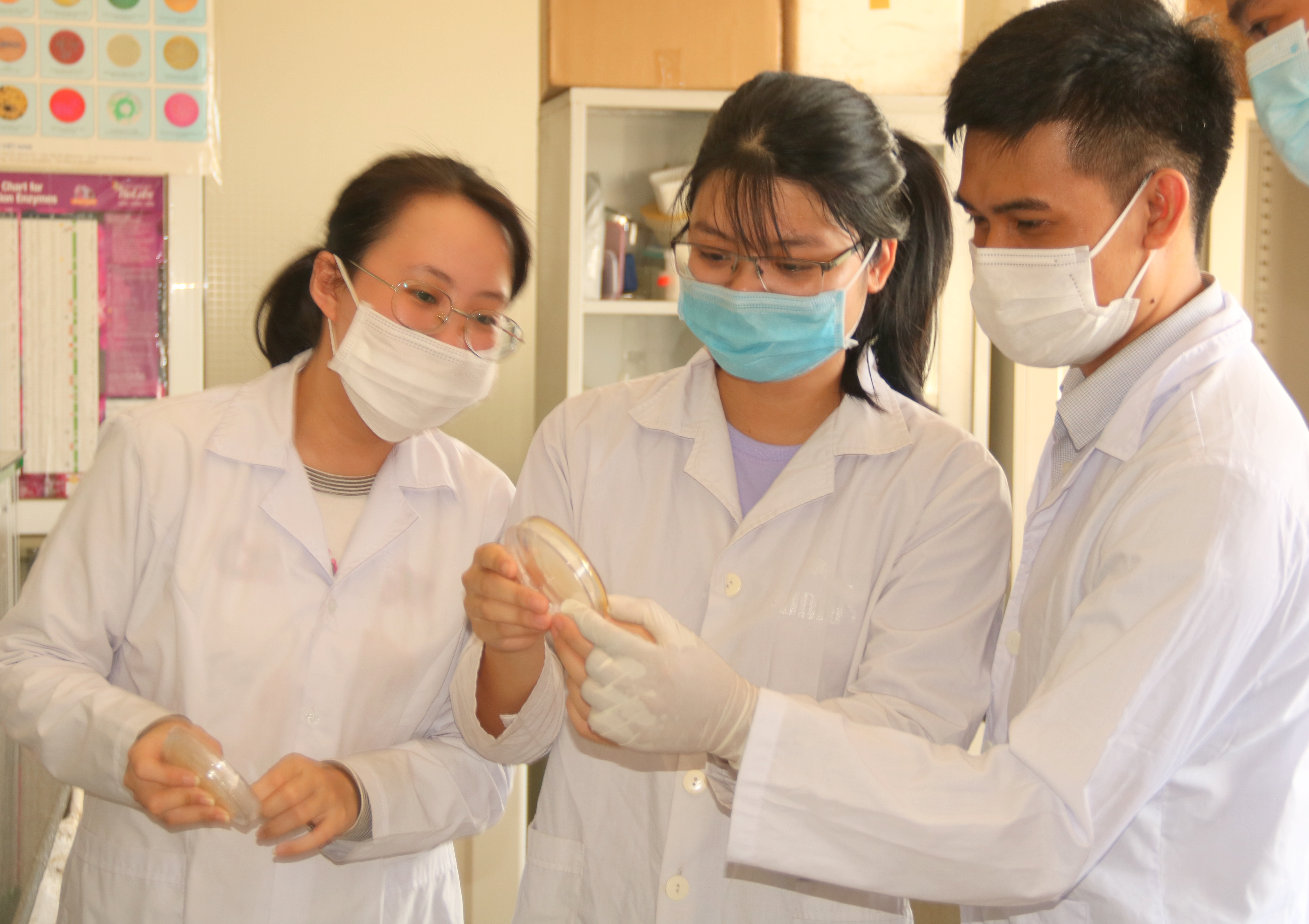 Ban hành chiến lược phát triển ĐH Huế giai đoạn 2021 - 2030, tầm nhìn 2045