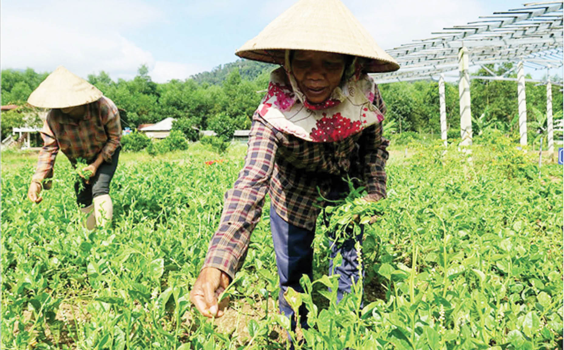 Vị thế mới của phụ nữ dân tộc thiểu số