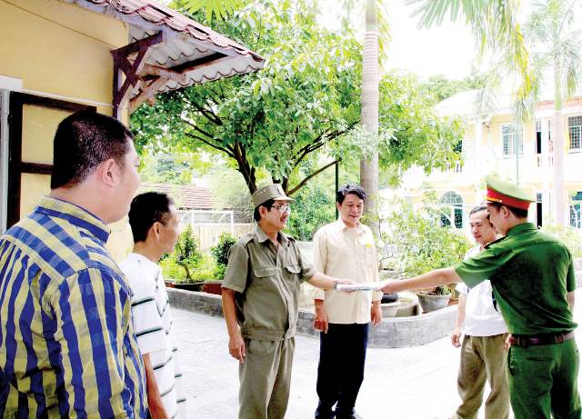 Trưởng thành từ thực tiễn