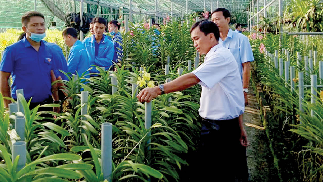 Lan tỏa từ một cuộc vận động