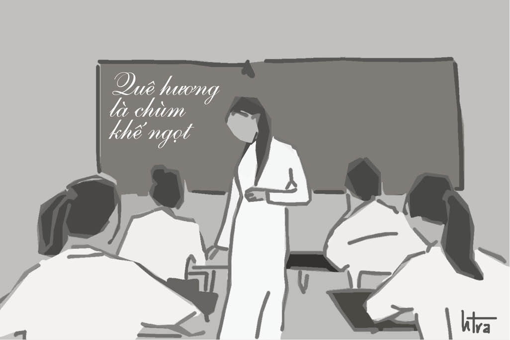Như nắng mai hồng