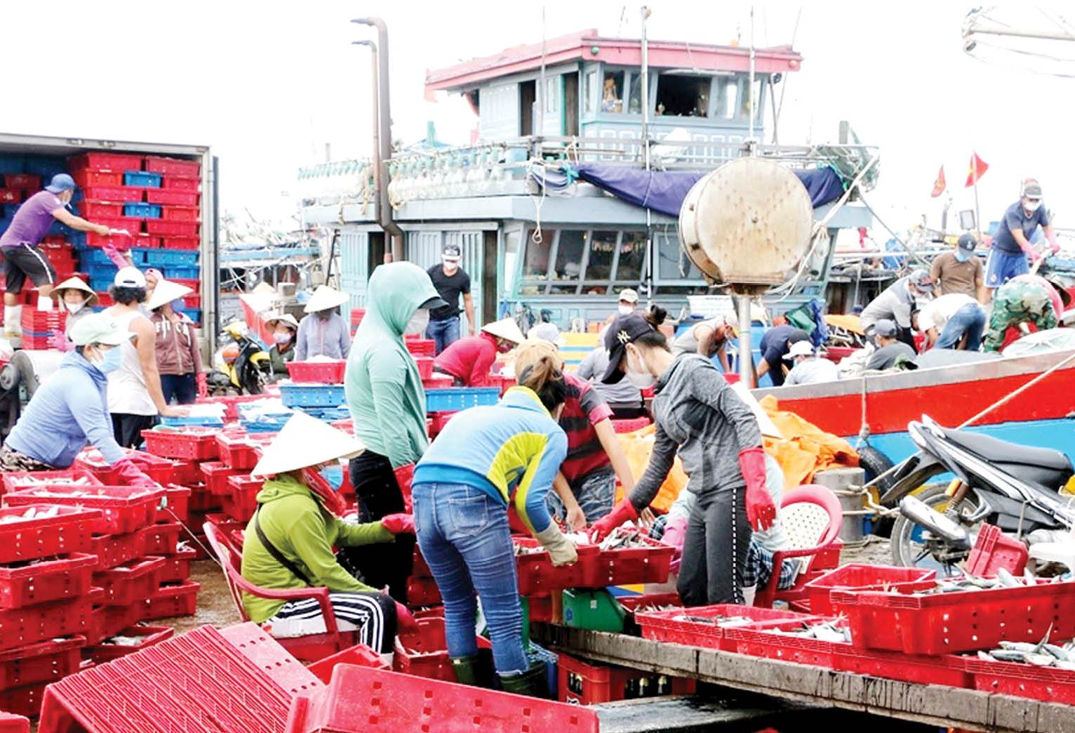 Vụ cá Bắc trong trăm ngàn thứ khó