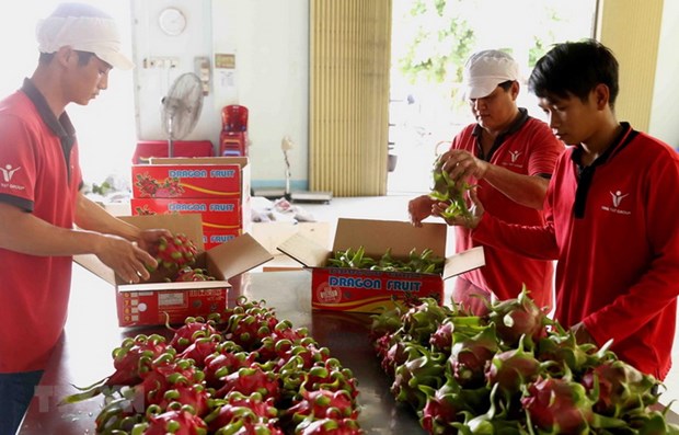 Tuân thủ nghiêm ngặt quy định để tránh ảnh hưởng xuất khẩu sang EU