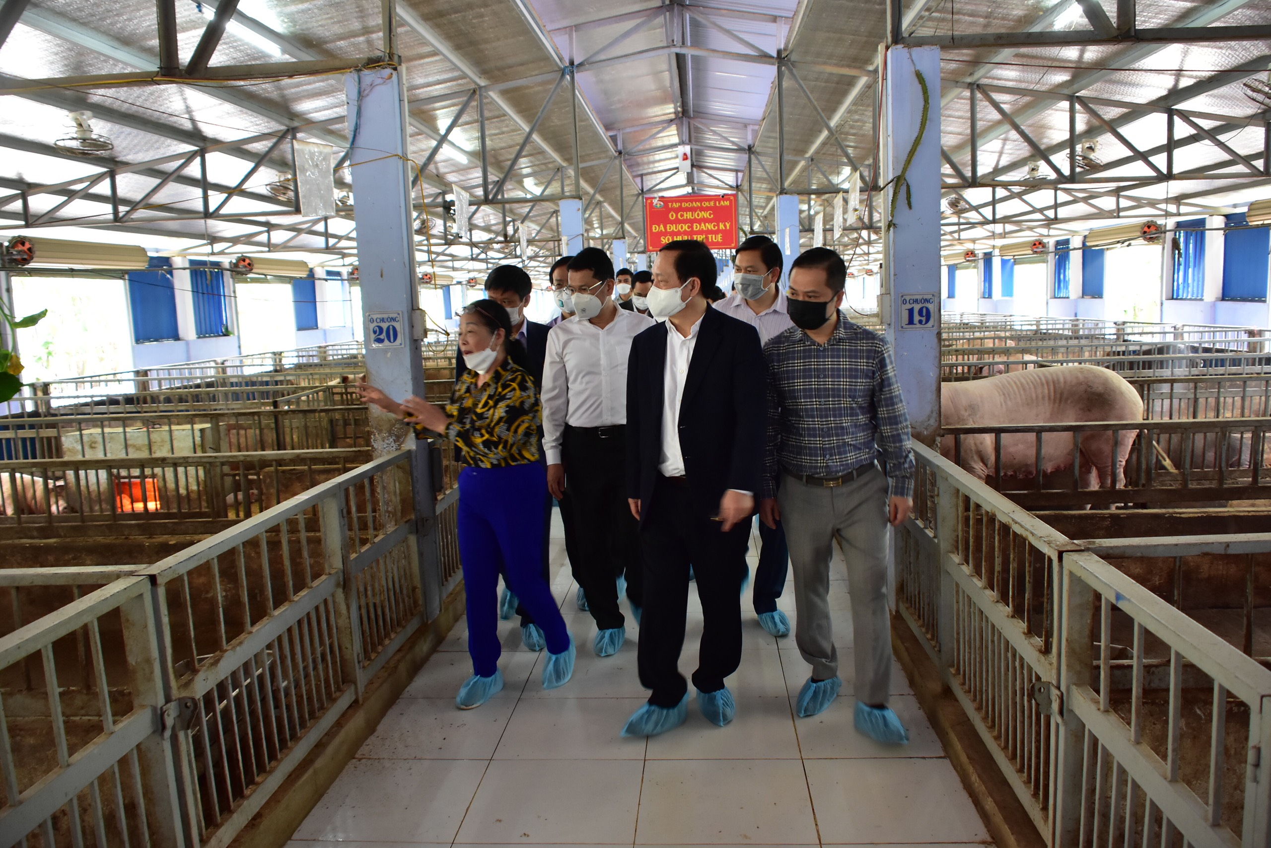 Tổ hợp 4F mở ra một cục diện mới cho ngành nông nghiệp