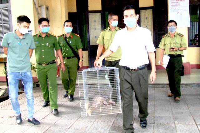 Động vật hoang dã vẫn “đi lạc” vào quán