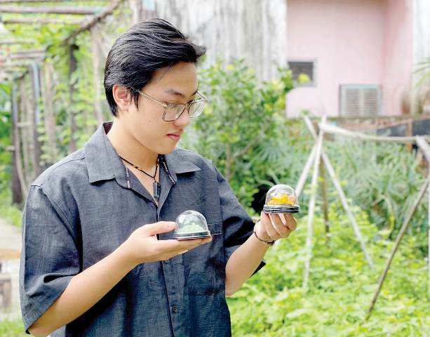 “Nuôi tinh thể”- Thú vui mùa dịch