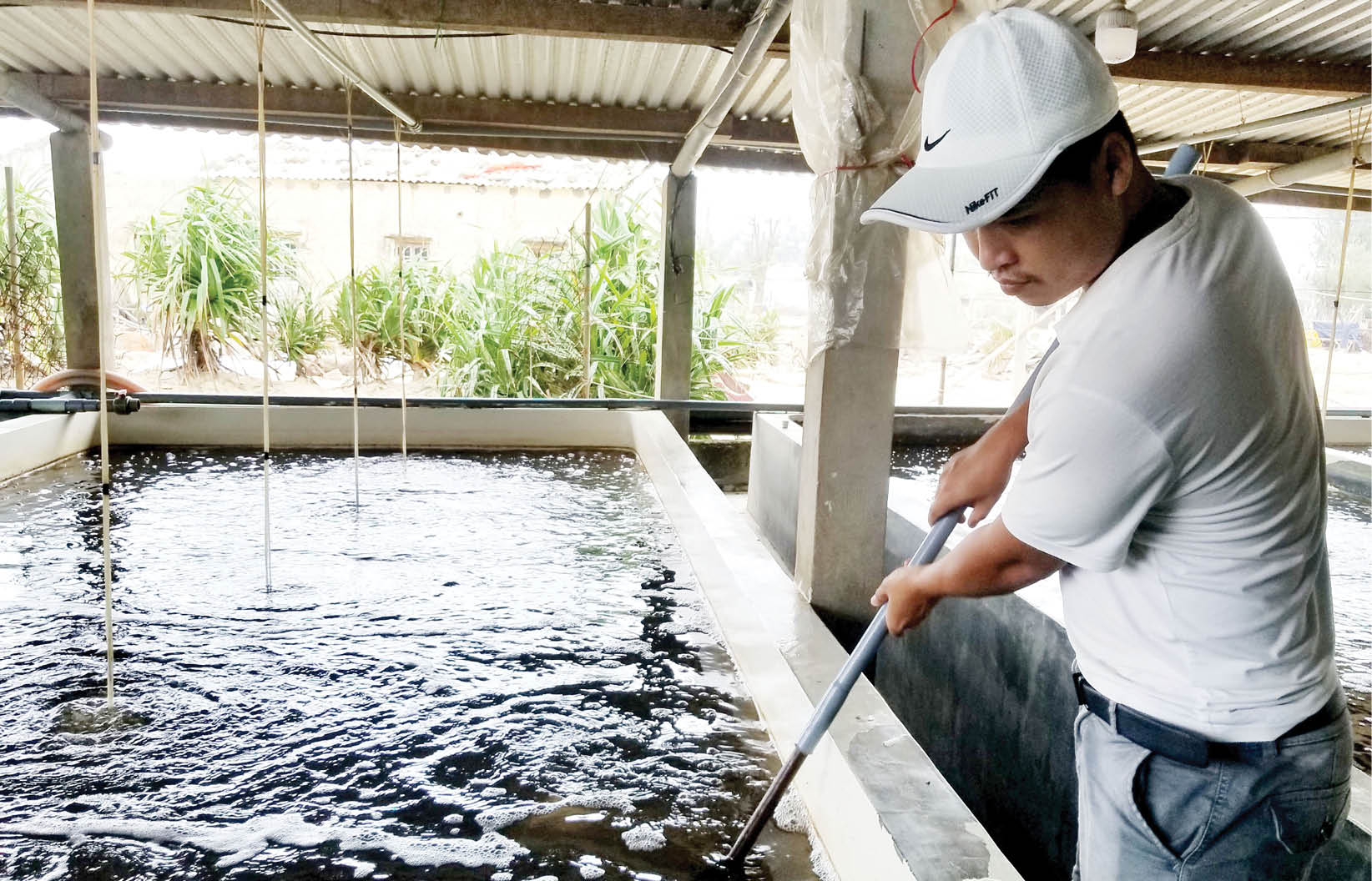 Thiếu chủ động nguồn giống thủy sản