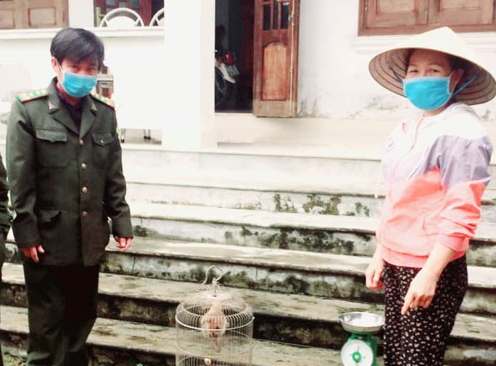 Tiếp nhận và thả về rừng cá thể cu li do người dân giao nộp